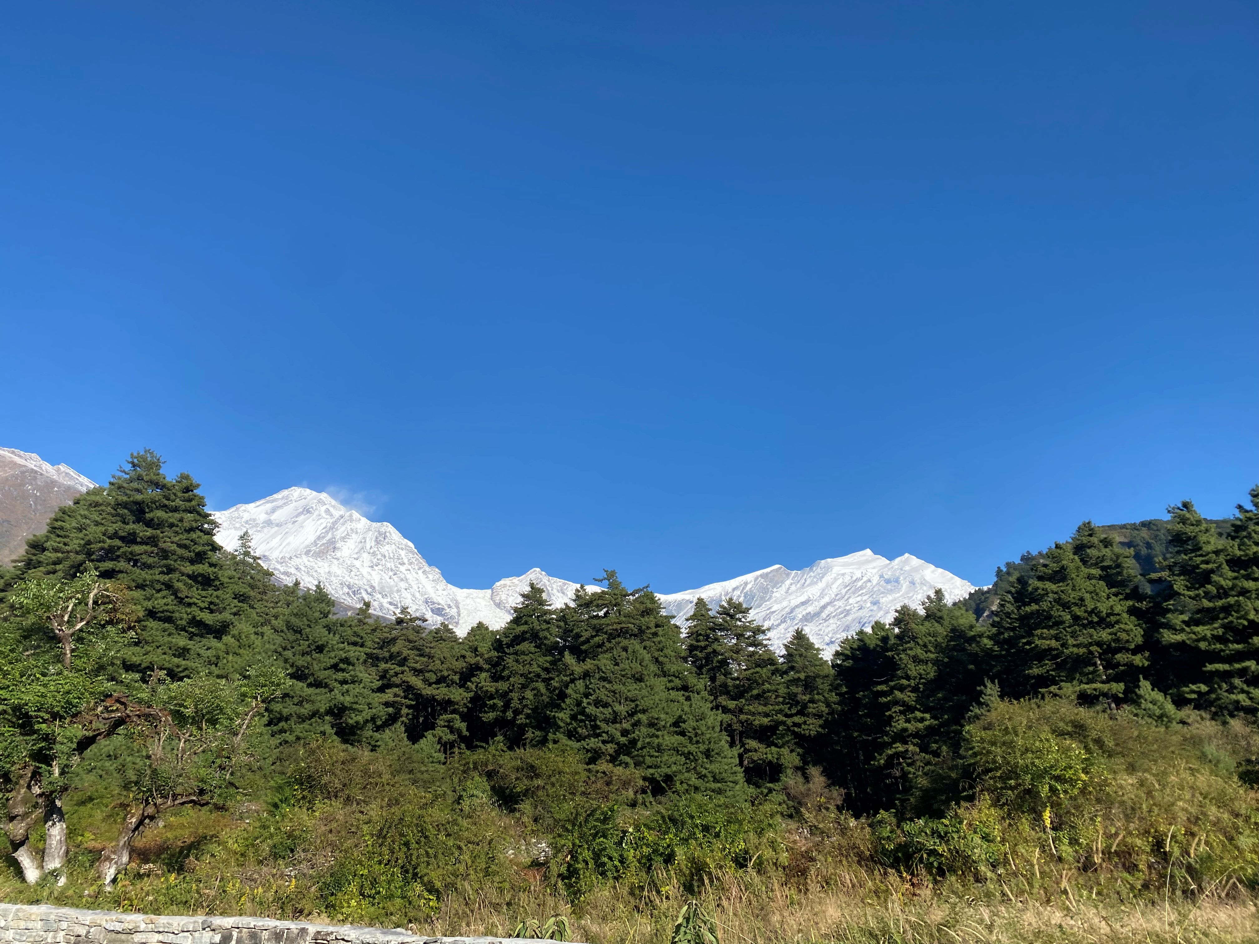 Conservation Nepal Fellowship