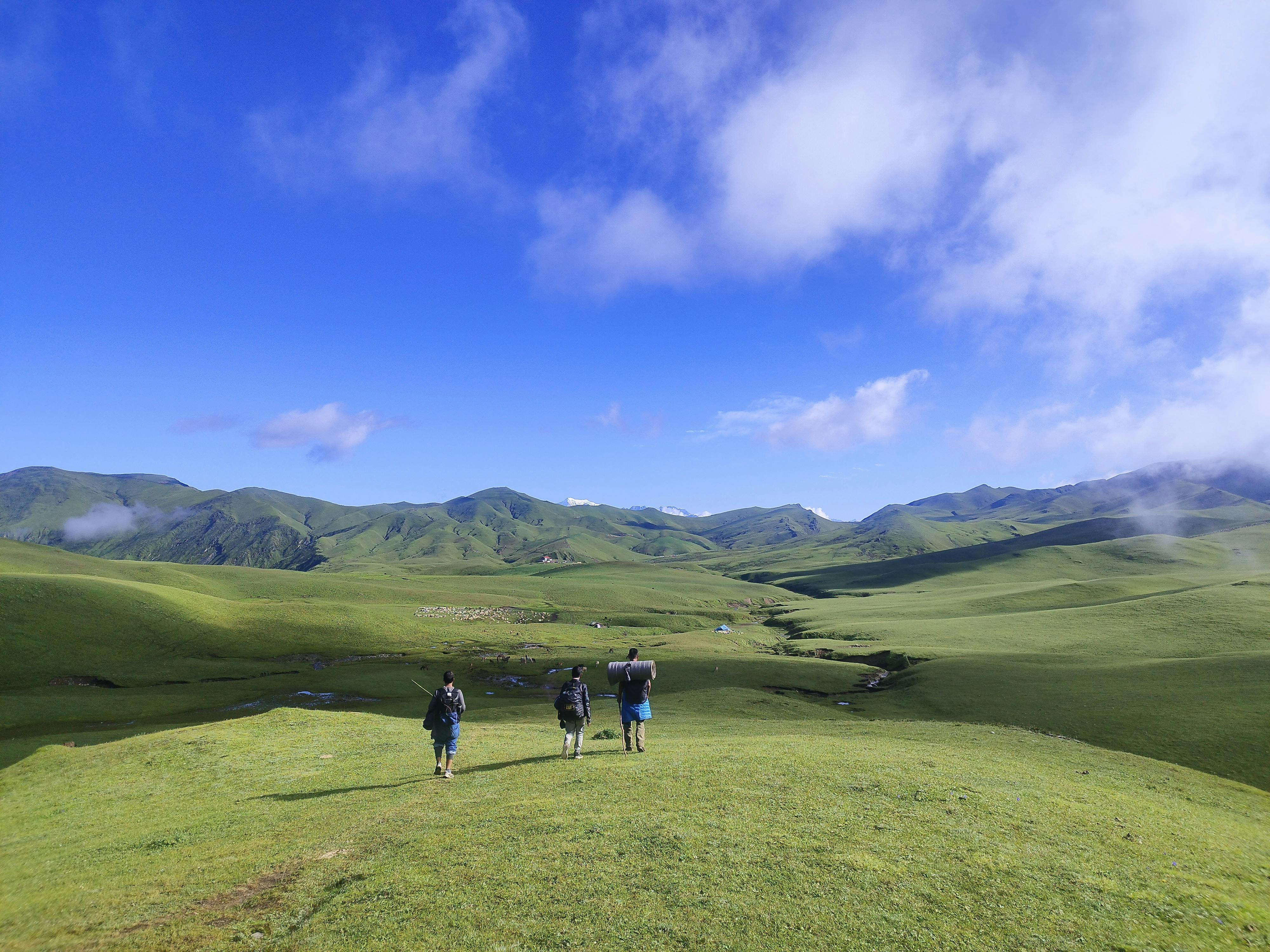 Conservation Nepal: Driving a Mission for Biodiversity